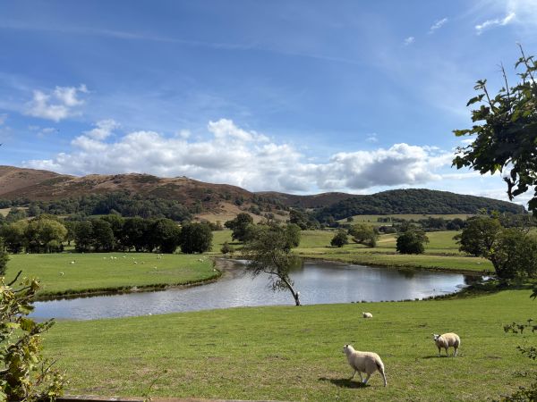 A view of a pond with Caer Caradoc in the background